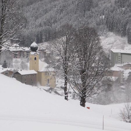 Saalbach Apartments Landhaus Bernkogel - Ski In Ski Out エクステリア 写真